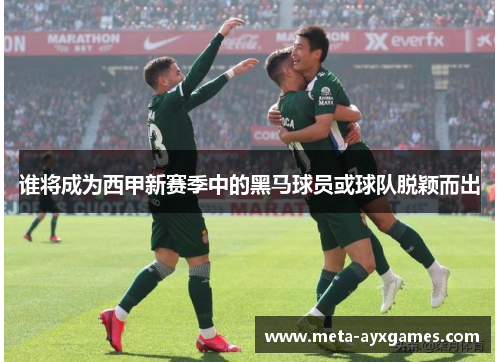 谁将成为西甲新赛季中的黑马球员或球队脱颖而出 谁将成为西甲新赛季中的黑马球员或球队脱颖而出