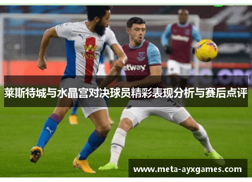 莱斯特城与水晶宫对决球员精彩表现分析与赛后点评