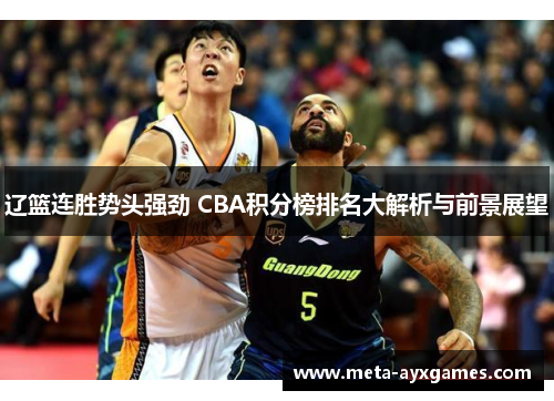 辽篮连胜势头强劲 CBA积分榜排名大解析与前景展望