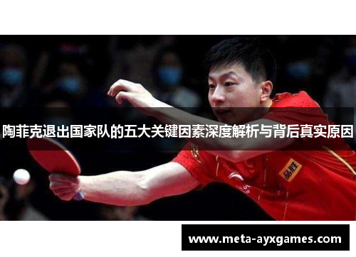 陶菲克退出国家队的五大关键因素深度解析与背后真实原因 陶菲克退出国家队的五大关键因素深度解析与背后真实原因