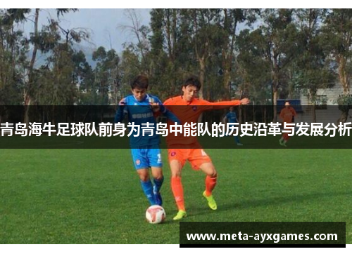 青岛海牛足球队前身为青岛中能队的历史沿革与发展分析 青岛海牛足球队前身为青岛中能队的历史沿革与发展分析
