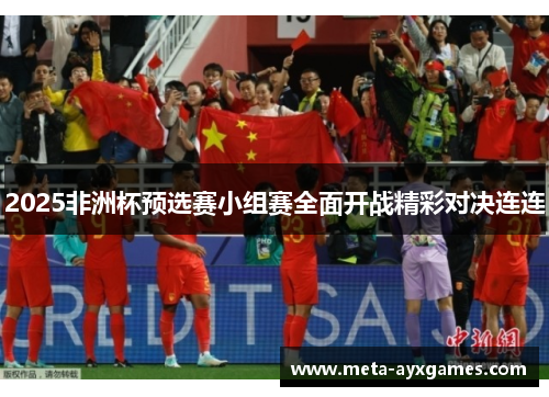 2025非洲杯预选赛小组赛全面开战精彩对决连连